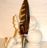 Listing_dsc03149