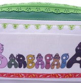 BARBAPAPA Etui gross, grün