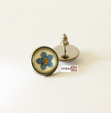 Listing_stecker_myosotis