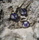 Ohrhänger Cabochon 12mm mit Anhänger 10mm