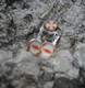 Ohrhänger Cabochon 12mm mit Anhänger 10mm