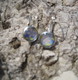 Ohrhänger Cabochon 12mm
