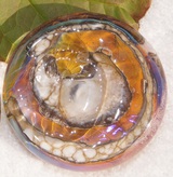 Listing_dsc03651